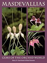 Masdevallias gems the usato  Spedito ovunque in Italia 