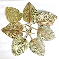 Dongarts feuilles palmier d'occasion  Livré partout en France