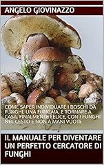 Manuale per diventare usato  Spedito ovunque in Italia 