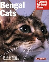 Bengal cats everything d'occasion  Livré partout en France