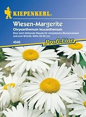 Margeriten wiesen margerite gebraucht kaufen  Wird an jeden Ort in Deutschland