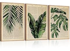 Anhuib large botanical for sale  Delivered anywhere in USA 