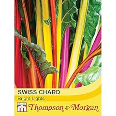 Swiss chard bright for sale  Delivered anywhere in UK