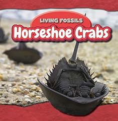 Horseshoe crabs usato  Spedito ovunque in Italia 