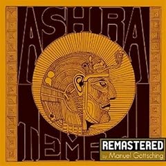 Ash tempel usato  Spedito ovunque in Italia 