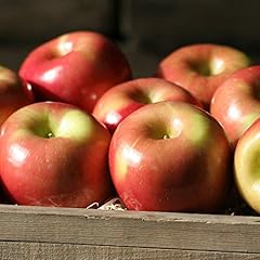 Fuji apples 2.5 for sale  Delivered anywhere in USA 