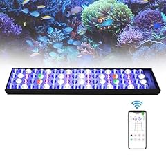 Popbloom hertz54 aquarium gebraucht kaufen  Wird an jeden Ort in Deutschland