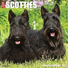 Scotties 2023 wall for sale  Delivered anywhere in UK