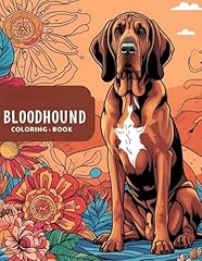 Bloodhound coloring book for sale  Delivered anywhere in UK