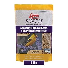 Lyric finch small for sale  Delivered anywhere in USA 