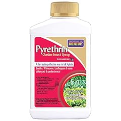 Bonide pyrethrin garden for sale  Delivered anywhere in USA 