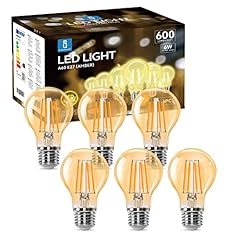 Aigostar lampadina vintage usato  Spedito ovunque in Italia 
