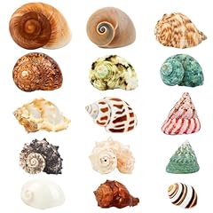 Skoolove 15pcs hermit for sale  Delivered anywhere in UK