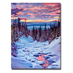 Trademark Fine Art Winter Solstice by David Lloyd Glover for sale  Delivered anywhere in Canada