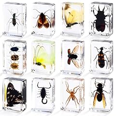 Styles insectes résine d'occasion  Livré partout en France