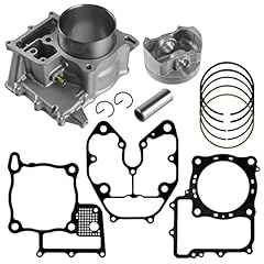 Caltric cylinder kit for sale  Delivered anywhere in USA 