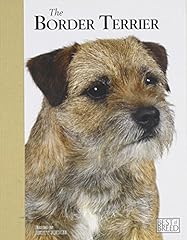 Border terrier best for sale  Delivered anywhere in UK