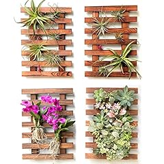 Shoplala wall planters for sale  Delivered anywhere in USA 
