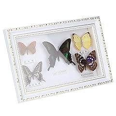 Real framed butterfly for sale  Delivered anywhere in USA 