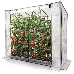 Arebos tomatengewächshaus fol gebraucht kaufen  Wird an jeden Ort in Deutschland