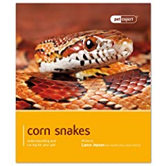 Corn snake for sale  Delivered anywhere in UK