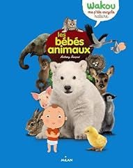 Bébés animaux d'occasion  Livré partout en France