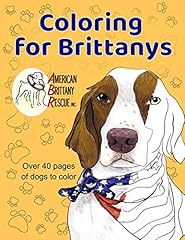 Coloring brittanys american for sale  Delivered anywhere in USA 