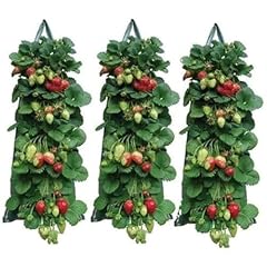 2024 hanging strawberry for sale  Delivered anywhere in USA 