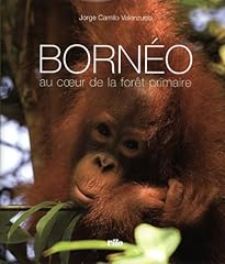 Bornéo coeur forêt d'occasion  Livré partout en France
