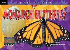 Monarch butterfly for sale  Delivered anywhere in USA 