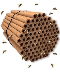 Mason bee tubes for sale  Delivered anywhere in USA 