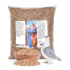 Morning bird pigeon for sale  Delivered anywhere in USA 