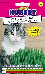 Herbe chat orge d'occasion  Livré partout en France