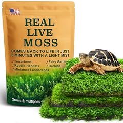 Live moss variety for sale  Delivered anywhere in USA 