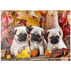 Mypuzzle pug puppies for sale  Delivered anywhere in USA 