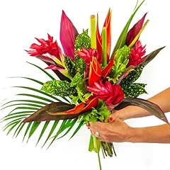 Bloomsybox tropical bouquet for sale  Delivered anywhere in USA 