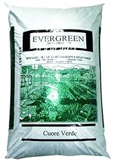 Evergreen concime minerale usato  Spedito ovunque in Italia 