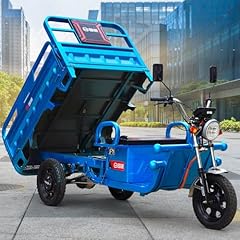Ashomeli 70km 1000w for sale  Delivered anywhere in USA 
