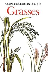 Grasses for sale  Delivered anywhere in UK