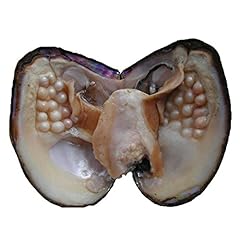 Oyster pearls poshops for sale  Delivered anywhere in USA 