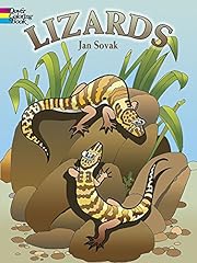 Lizards coloring book for sale  Delivered anywhere in USA 