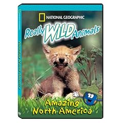 Really wild animals for sale  Delivered anywhere in USA 