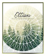Birapa ottawa cornice usato  Spedito ovunque in Italia 