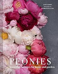 Peonies beautiful varieties for sale  Delivered anywhere in UK