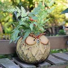 Gelive owl planter for sale  Delivered anywhere in USA 