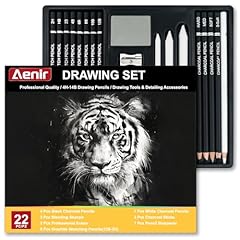 Charcoal pencils drawing for sale  Delivered anywhere in USA 