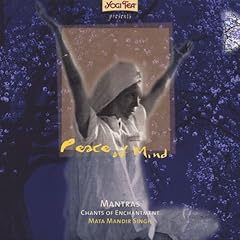 Peace mind kundalini gebraucht kaufen  Wird an jeden Ort in Deutschland