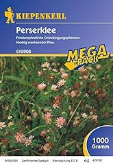 Perserklee trifolium resupinat gebraucht kaufen  Wird an jeden Ort in Deutschland