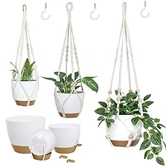 Bouqlife hanging planters for sale  Delivered anywhere in USA 
