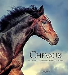 Chevaux d'occasion  Livré partout en France